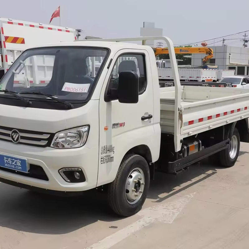 Isuzu 100hp 4x2 Light Cargo Truck