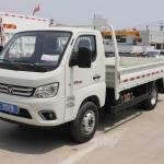 Foton W3 95HP 4X2 Light Van Truck