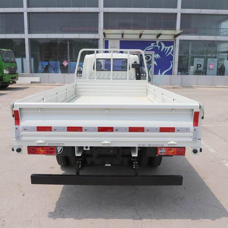Foton W3 95HP 4X2 Light Van Truck