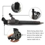 0445110249 Diesel Fuel Injector Assembly for Ford Ranger & Mazda BT50 2.2L 3.0L