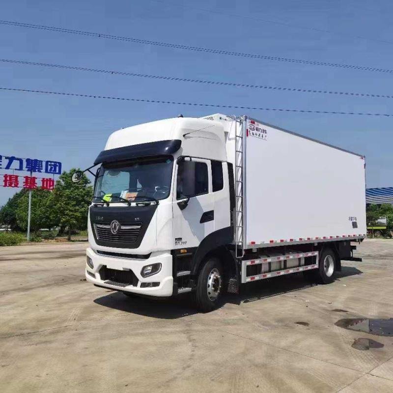 Dongfeng 175HP 6-Ton Refrigerated Truck 4x2 Freezer Transport Vehicle