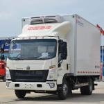 Isuzu 150HP 4x2 Light-Duty Refrigerated Freezer Truck for Meat Transport