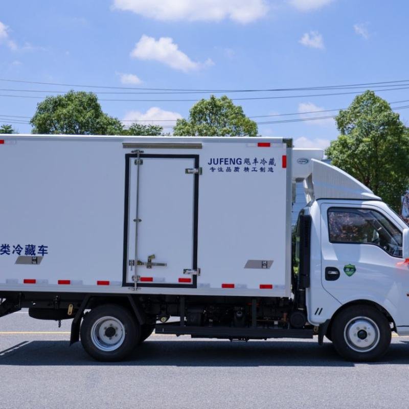 Dongfeng 2-3 Ton Diesel Refrigerated Truck (LHD)