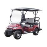 EcoPro 4kW 8-Seater Electric Street-Legal Utility Cart