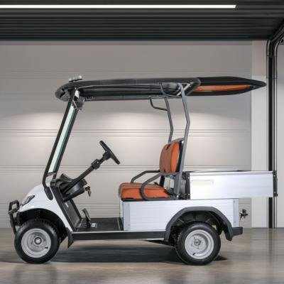 Electric 2-Seater Utility Cargo Cart 5kW Motor 72V Industrial Electric Vehicle