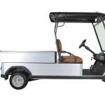 Electric 2-Seater Golf Cart with Cargo Box 5kW Motor 48V Battery CE Certified