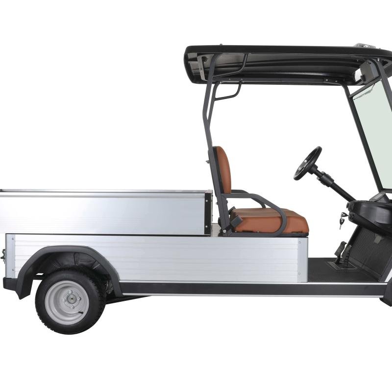 Electric 2-Seater Golf Cart with Cargo Box 5kW Motor 48V Battery CE Certified