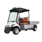 Electric 2-Seater Golf Cart with Cargo Box 5kW Motor 48V Battery CE Certified