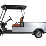 Electric 2-Seater Golf Cart with Cargo Box 5kW Motor 48V Battery CE Certified