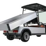 Electric 2-Seater Golf Cart with Cargo Box 5kW Motor 48V Battery CE Certified