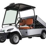 Electric 2-Seater Golf Cart with Cargo Box 5kW Motor 48V Battery CE Certified