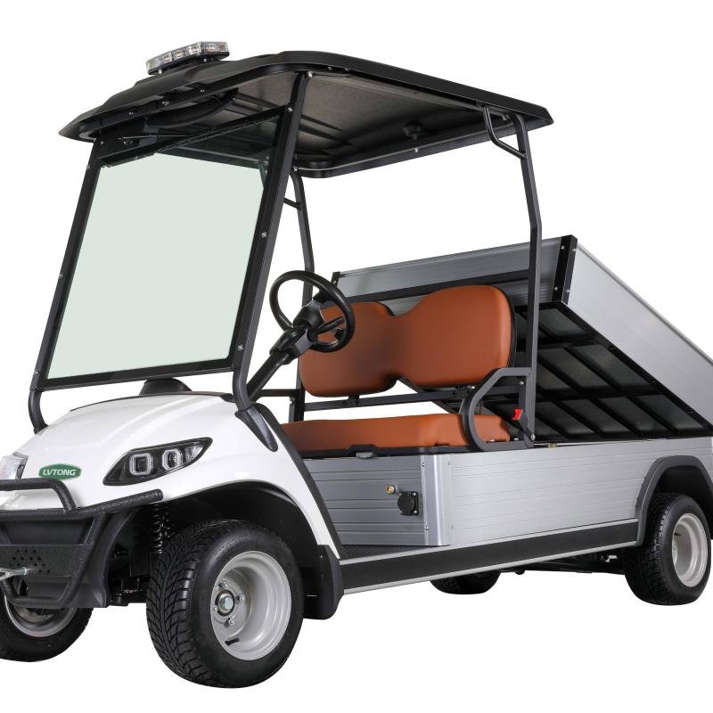 Electric 2-Seater Golf Cart with Cargo Box 5kW Motor 48V Battery CE Certified