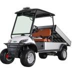 Electric 5kW 2-Seater Utility Cargo Golf Cart 48V 70-90km Range