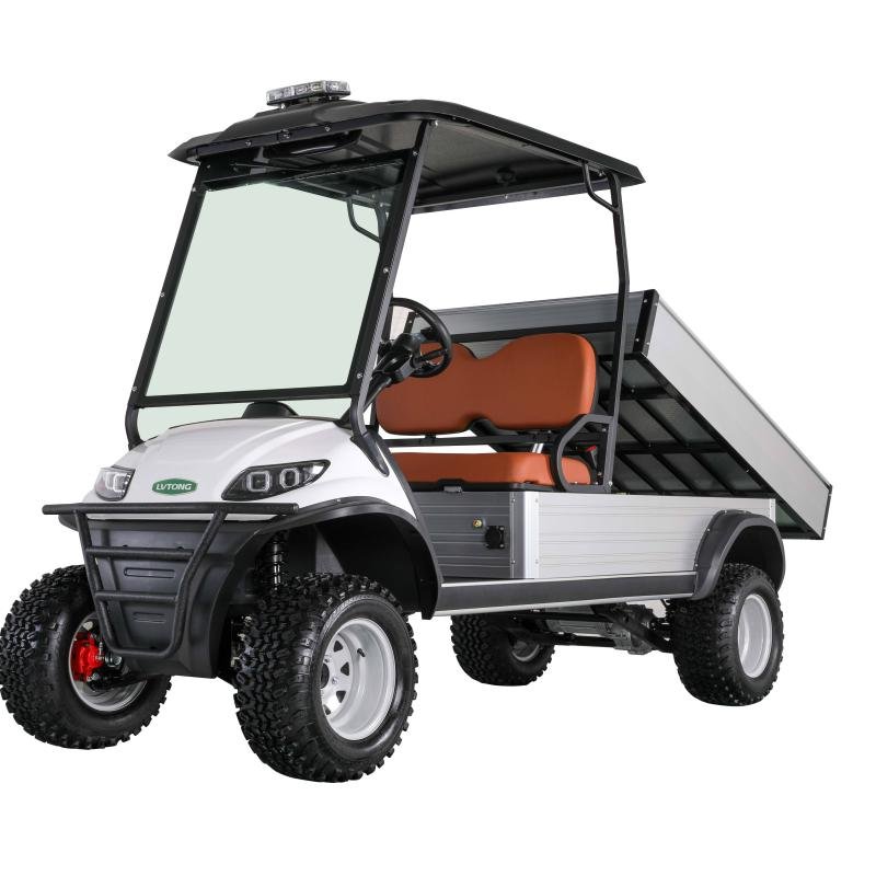 Electric 5kW 2-Seater Utility Cargo Golf Cart 48V 70-90km Range