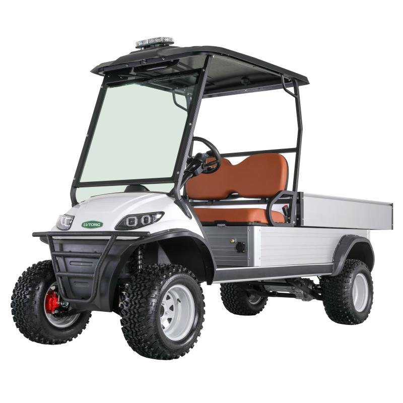 Electric 5kW 2-Seater Utility Cargo Golf Cart 48V 70-90km Range