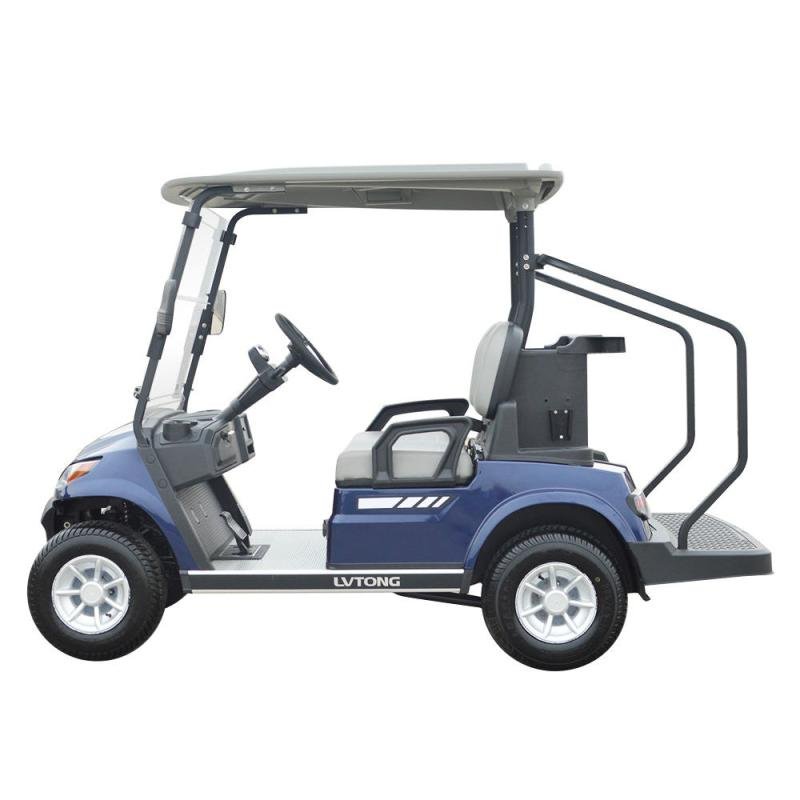 LVTONG Electric 2-Seater Low-Speed Golf Cart