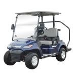 LVTONG Electric 2-Seater Low-Speed Golf Cart