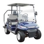 LVTONG Electric 2-Seater Low-Speed Golf Cart