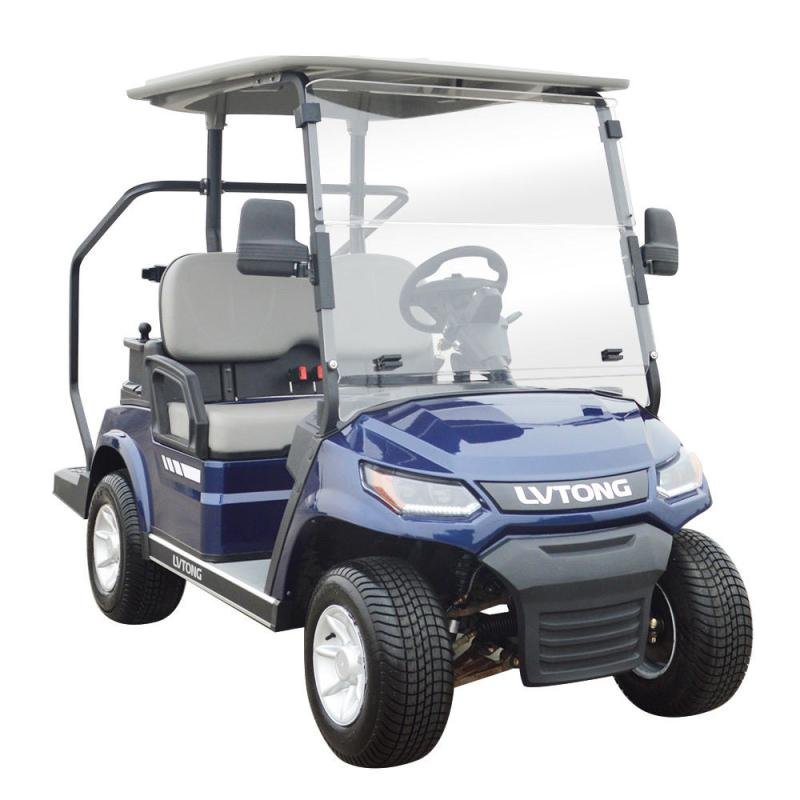 LVTONG Electric 2-Seater Low-Speed Golf Cart