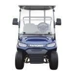 LVTONG Electric 2-Seater Low-Speed Golf Cart