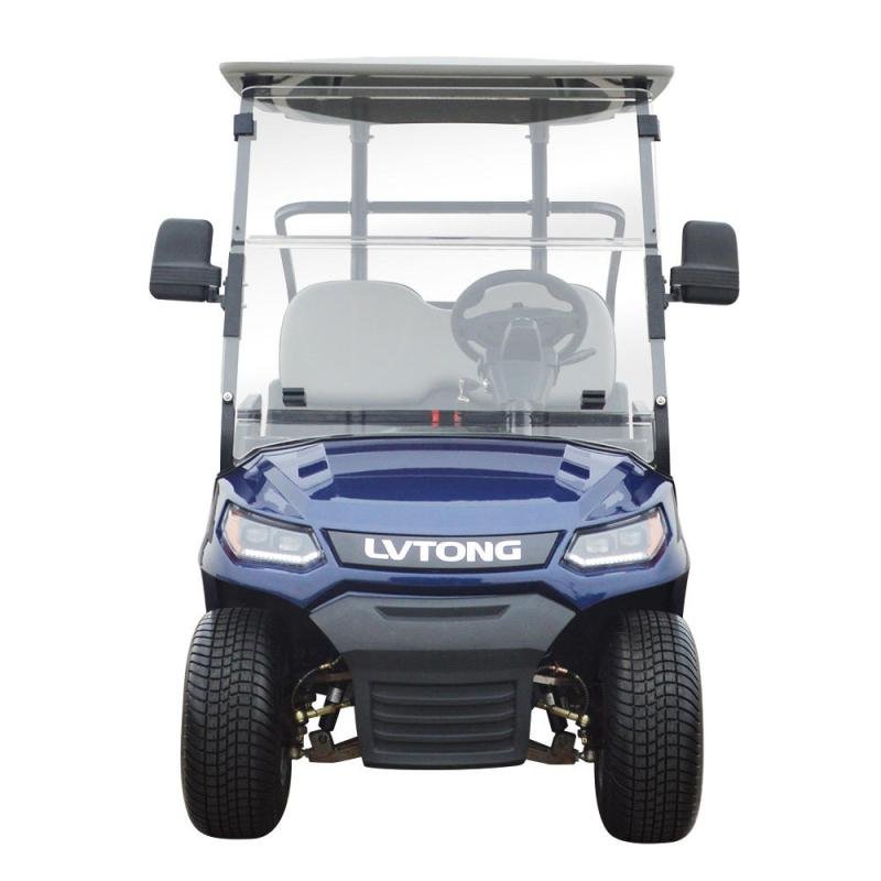 LVTONG Electric 2-Seater Low-Speed Golf Cart
