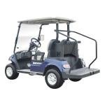 LVTONG Electric 2-Seater Low-Speed Golf Cart