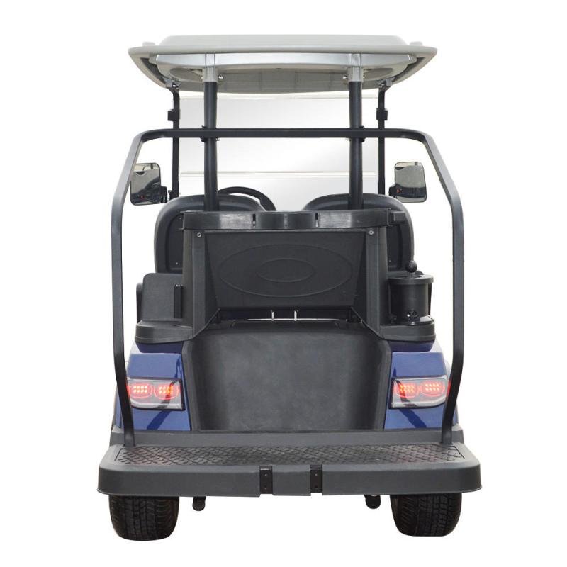 LVTONG Electric 2-Seater Low-Speed Golf Cart