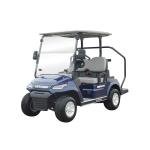 LVTONG LT-A827.2 Electric Utility Cart 48V 4KW 2-Seater Low-Speed Vehicle