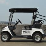 LVTONG LT-A827.2 Electric Utility Cart 48V 4KW 2-Seater Low-Speed Vehicle