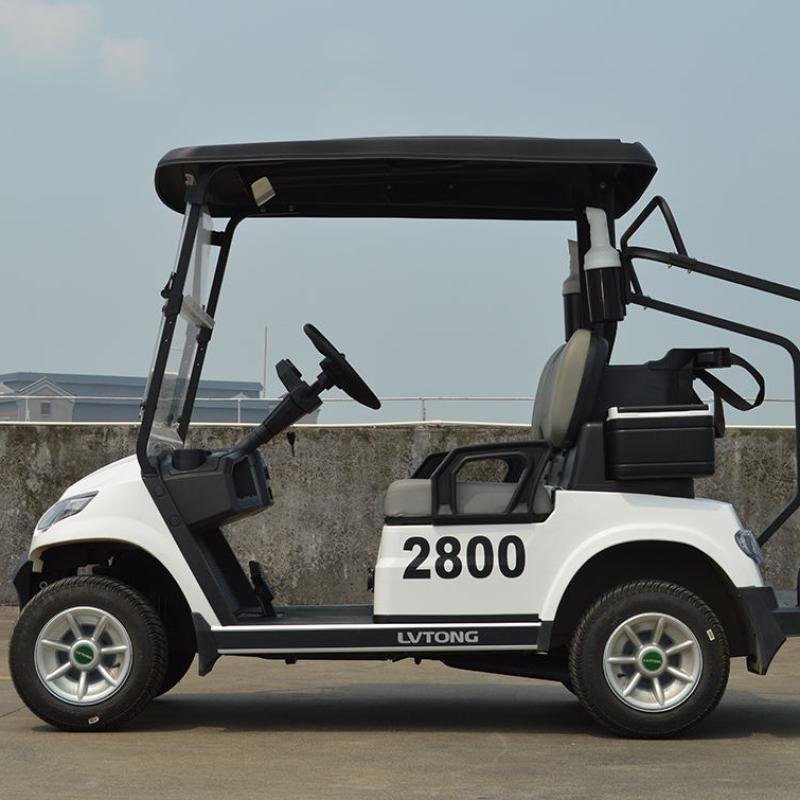 LVTONG LT-A827.2 Electric Utility Cart 48V 4KW 2-Seater Low-Speed Vehicle