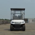 LVTONG LT-A827.2 Electric Utility Cart 48V 4KW 2-Seater Low-Speed Vehicle