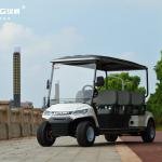 LVTONG 48V 4kW 4x4 Electric 6-Seater Golf Cart