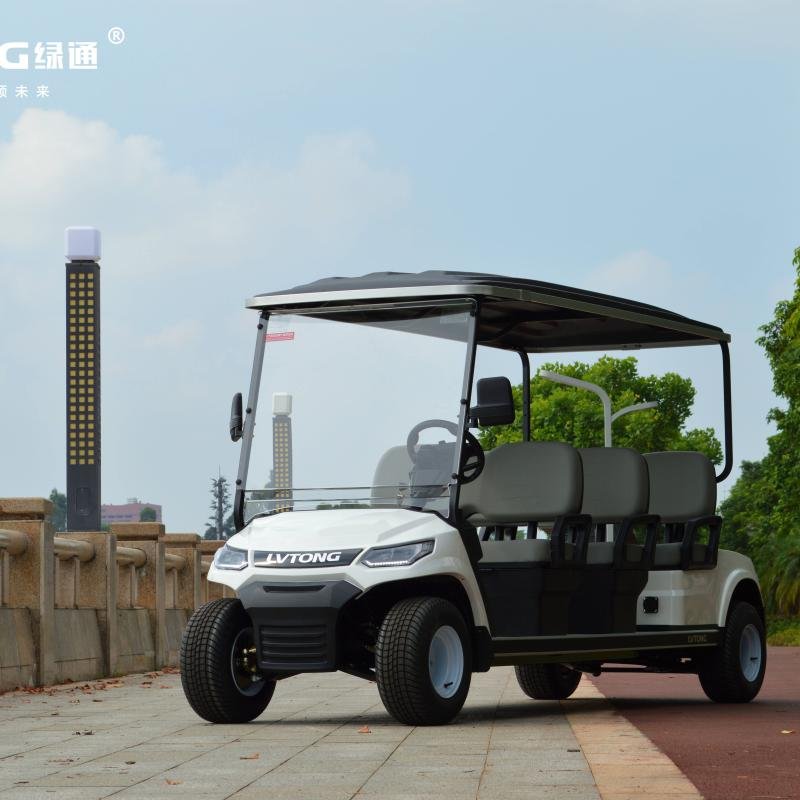 LVTONG 48V 4kW 4x4 Electric 6-Seater Golf Cart