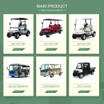 Lvtong 48V/4KW 6-Seater Electric Sightseeing Golf Cart