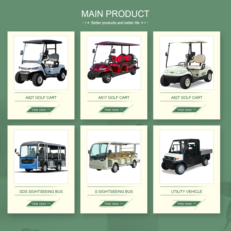 Lvtong 48V/4KW 6-Seater Electric Sightseeing Golf Cart