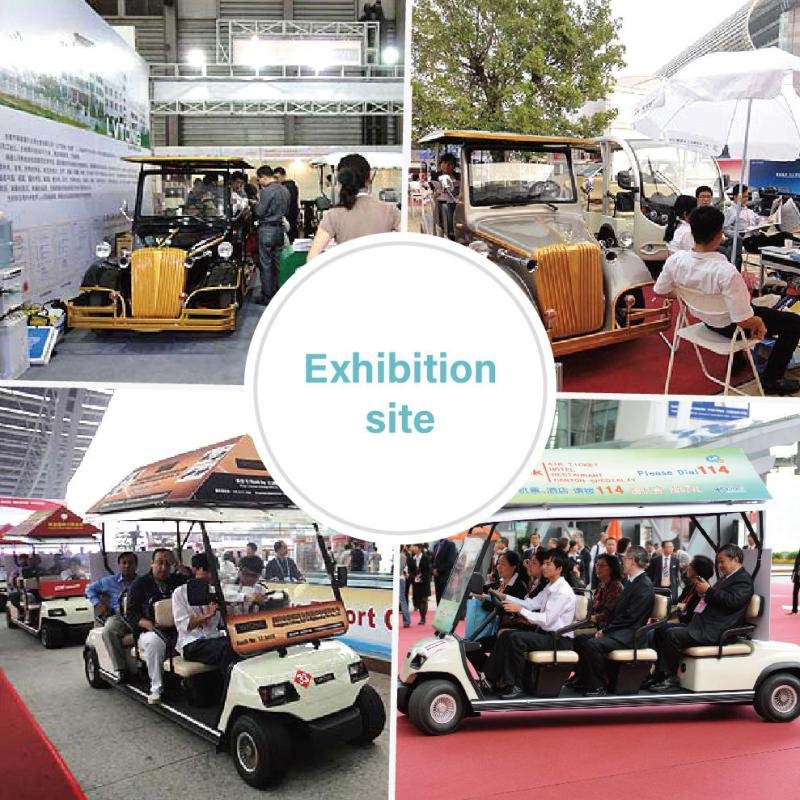 Lvtong 48V/4KW 6-Seater Electric Sightseeing Golf Cart