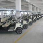 LvTong 48V 4KW Electric 6-Seater Utility Golf Cart