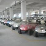 LvTong 48V 4KW Electric 6-Seater Utility Golf Cart