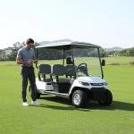 LVTONG 48V 4KW 4-Seater Electric Utility Cart
