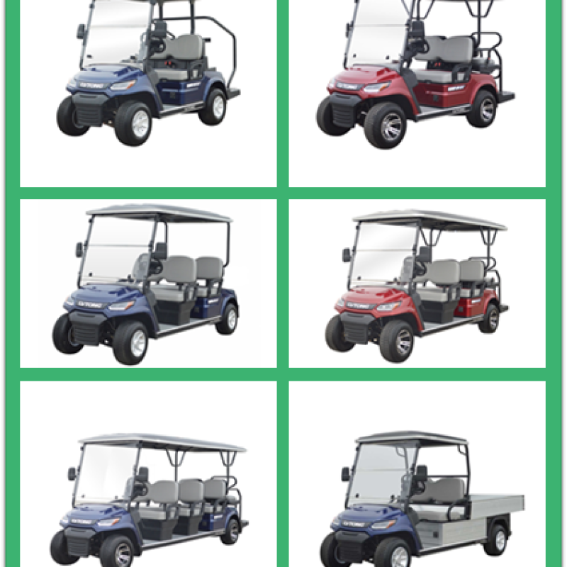 LVTONG 4-Seater Electric Golf Cart 48V 4KW Lifted Utility Vehicle