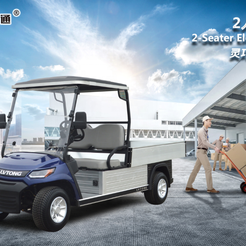 Electric 48V 4KW 2-Seater Golf Cart for Family & Hunting