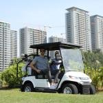 LVTONG 48V 4KW Electric Golf Cart 4-Seater with Air Conditioning
