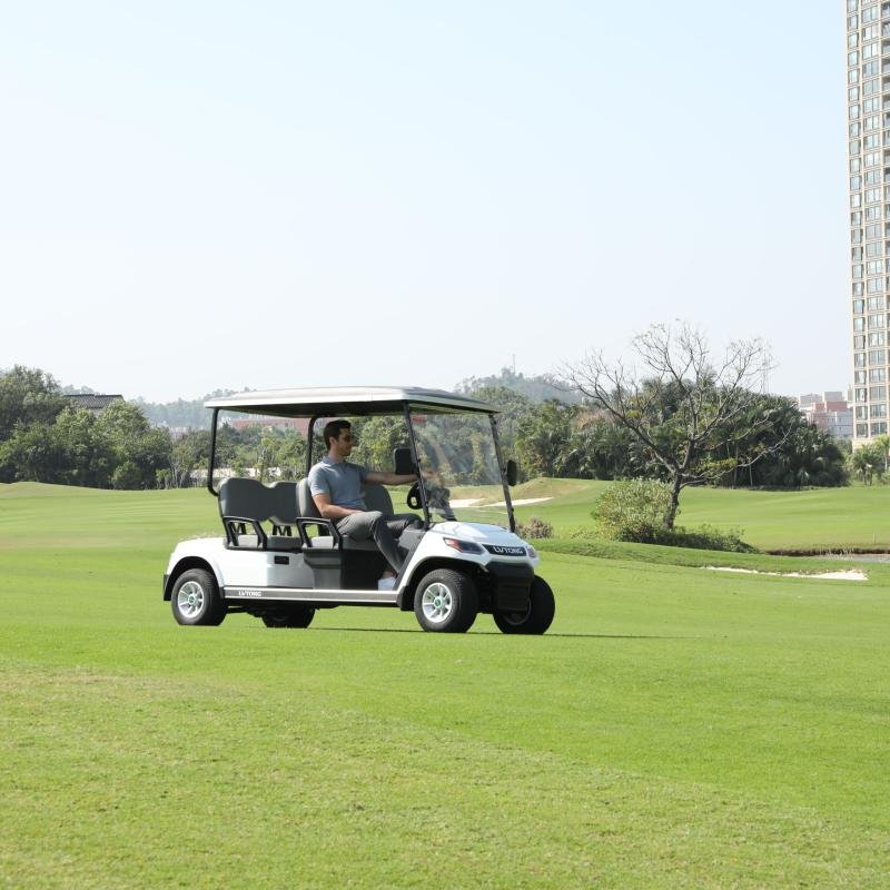 LVTONG 48V 4KW Electric Golf Cart 4-Seater with Air Conditioning