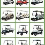 48V 4KW 4-Seat Electric Golf Cart with Curtis EV Controller