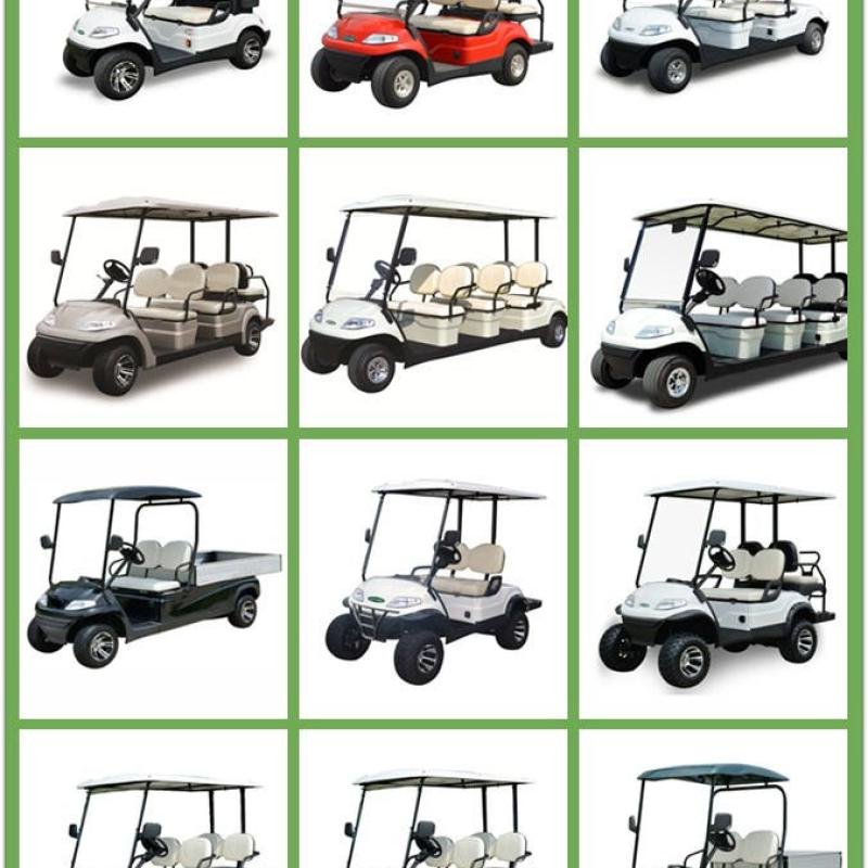 48V 4KW 4-Seat Electric Golf Cart with Curtis EV Controller