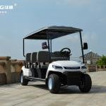 LVTONG 6-Seater Electric Golf Cart 48V/4KW Commercial Passenger Vehicle