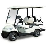 LVTONG 3.7KW 4-Person Enclosed Electric Golf Cart