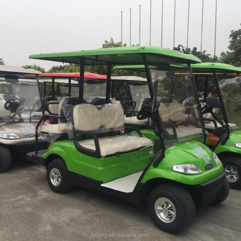 Lvtong Electric 2-Seater Low-Speed Utility Golf Cart