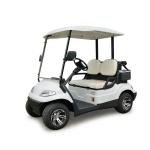 Lvtong Electric 2-Seater Low-Speed Utility Golf Cart