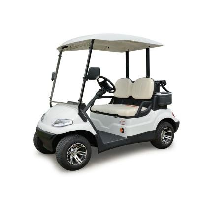 Lvtong Electric 2-Seater Low-Speed Utility Golf Cart